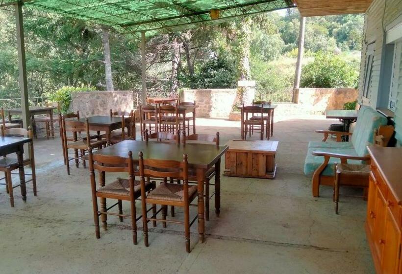 Общежитие Rural Sant Llop