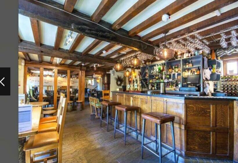 旅馆 The Rising Sun