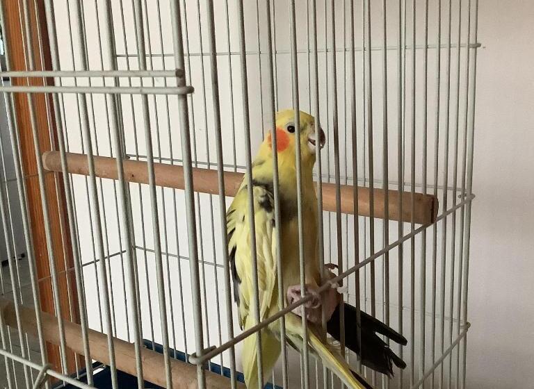 Bed and Breakfast Ai Quattro Soli