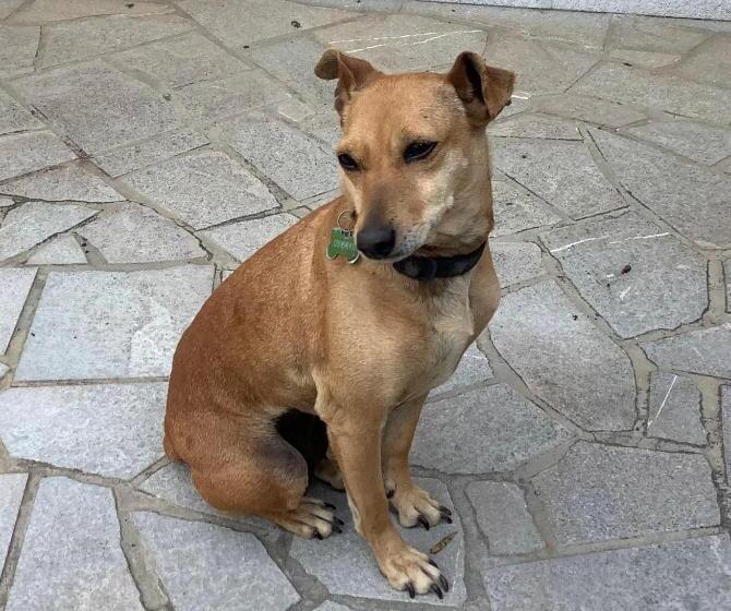 민박 Ai Quattro Soli