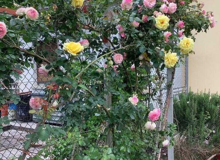 Bed and Breakfast Ai Quattro Soli