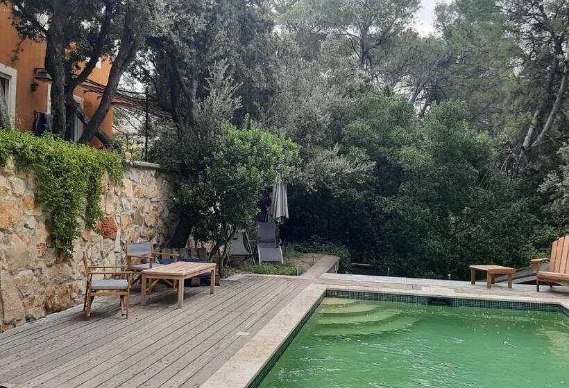 住宿加早餐  Au Papillon Dort