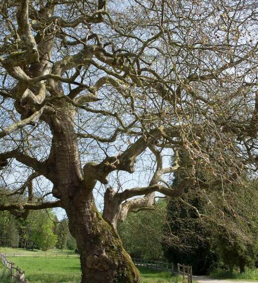 צימר Château De Martigny