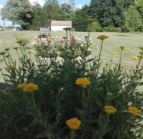 住宿加早餐  La Doucinière