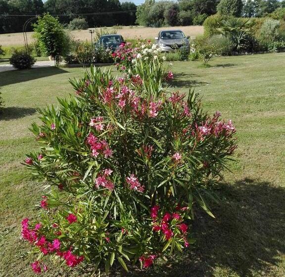 住宿加早餐  La Doucinière
