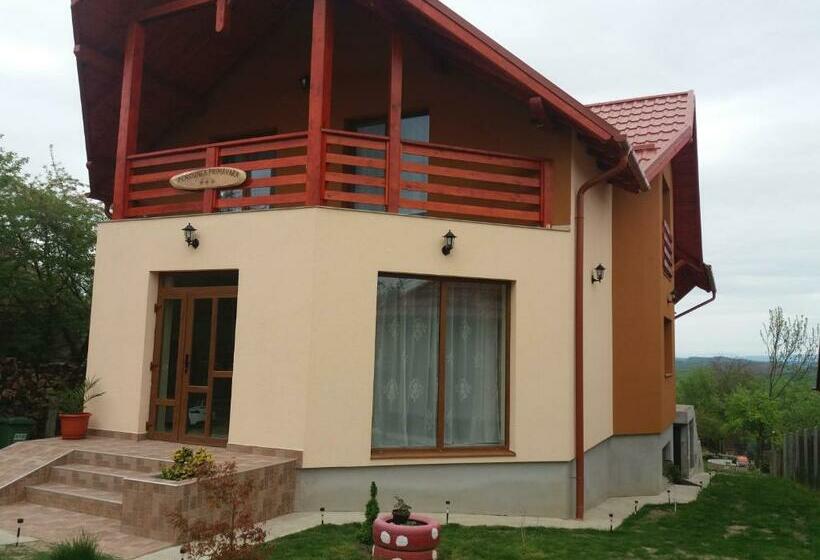 Bed and Breakfast Pensiunea Agroturistica Primavara