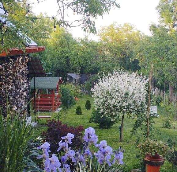 Bed and Breakfast Pensiunea Agroturistica Primavara