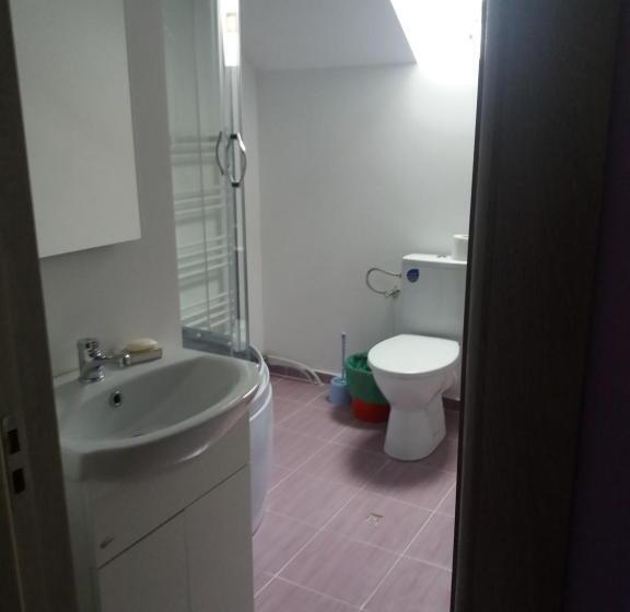 Bed and Breakfast Pensiunea Agroturistica Primavara