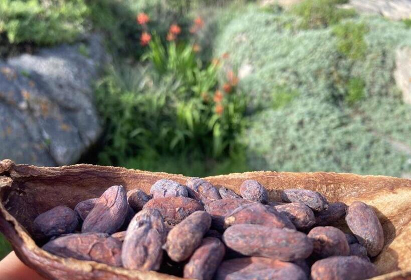 Cabañas Eco Rústicas Sello S