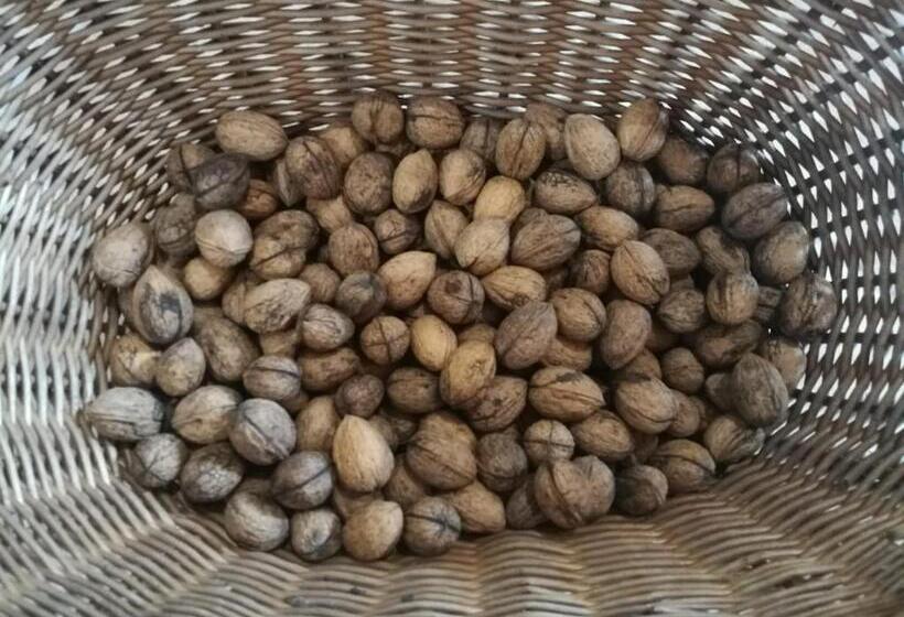 Отель “all’antica Dogana”