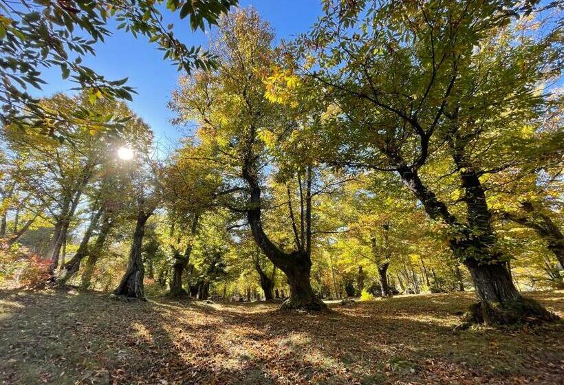 Отель “all’antica Dogana”