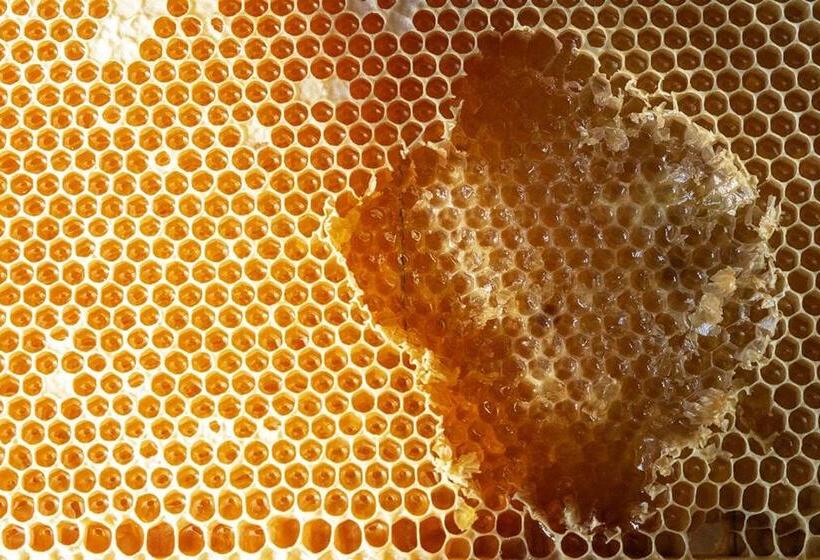 Отель “all’antica Dogana”