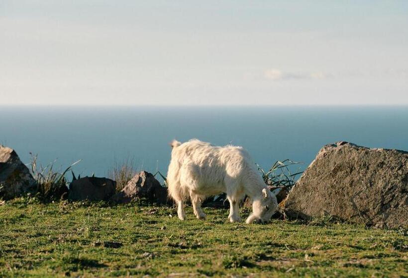 فندق New Suites Sea View Sardinia, Castelsardo
