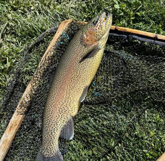 Отель Casa Mariei