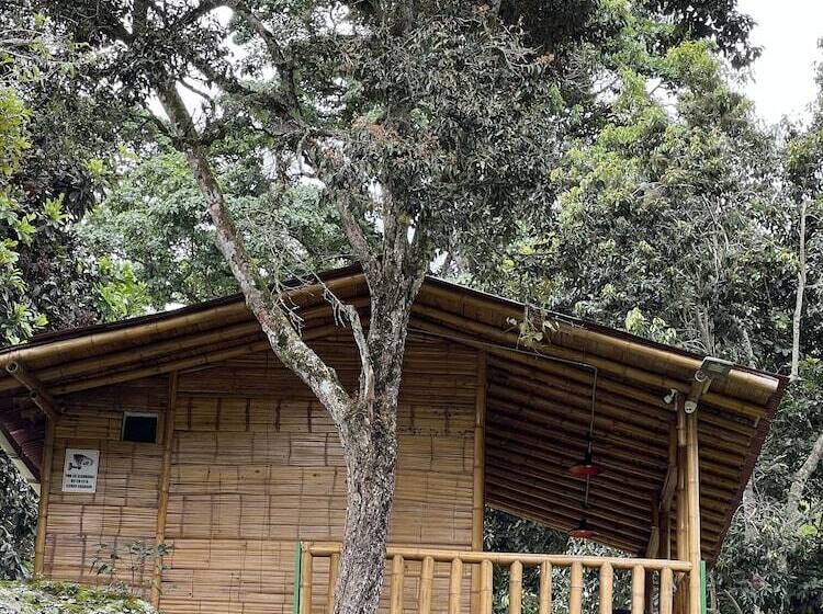 호텔 Ilusión Ecoparque