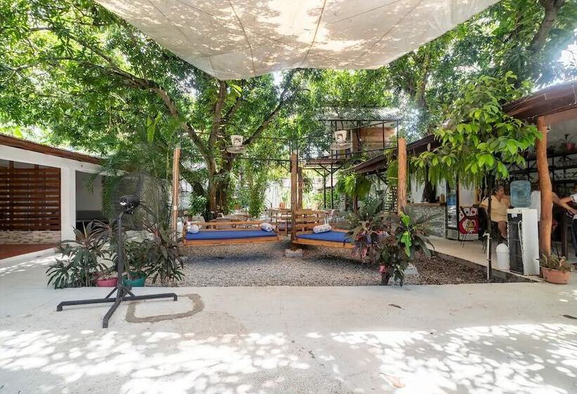 Отель La Casona De Sara