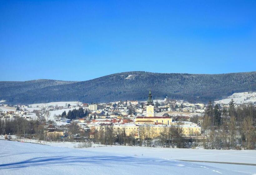 בית מלון כפרי Seminarzentrum Stift Schlägl