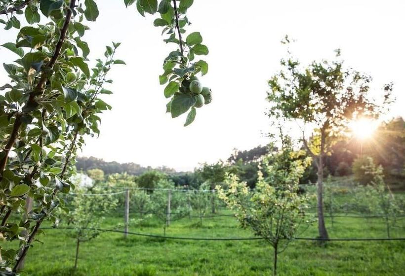 펜션 A Quinta Das Maceiras