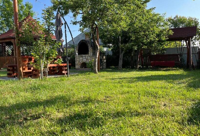 פנסיון Casa Ilinca