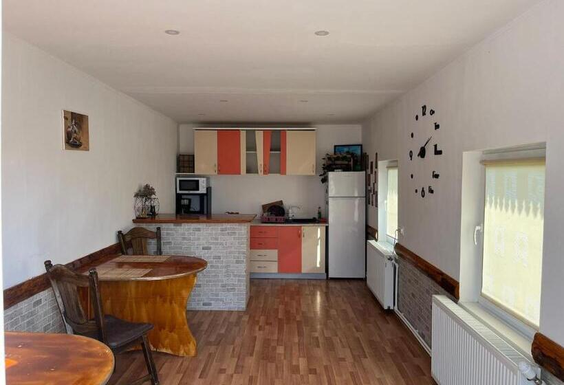 פנסיון Casa Ilinca