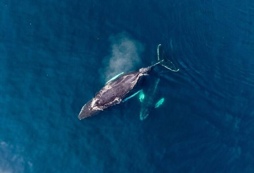 Пансион Cliffs Edge Retreat