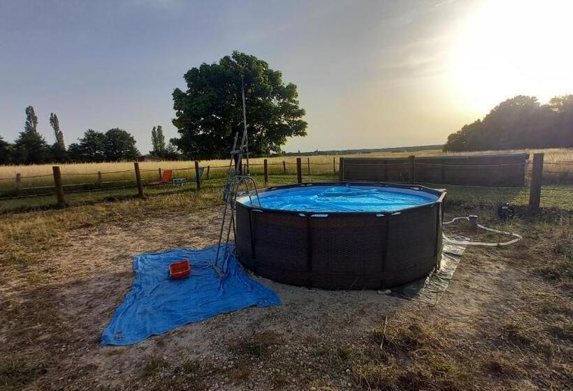 Pansiyon Le Relais D Eugénie Maison D Hôtes En Forêt D Orléans