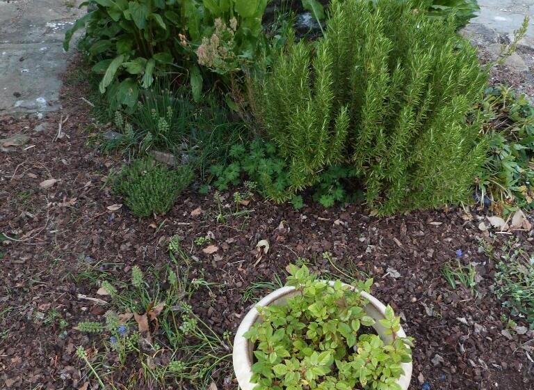 Pansiyon Le Relais D Eugénie Maison D Hôtes En Forêt D Orléans