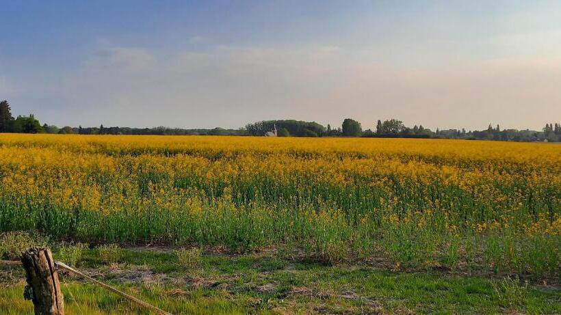 Pansiyon Le Relais D Eugénie Maison D Hôtes En Forêt D Orléans