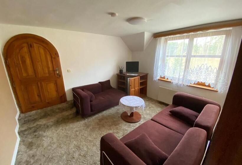 פנסיון Penzion U Nouzů