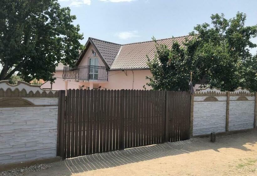 פנסיון Vila Siminica