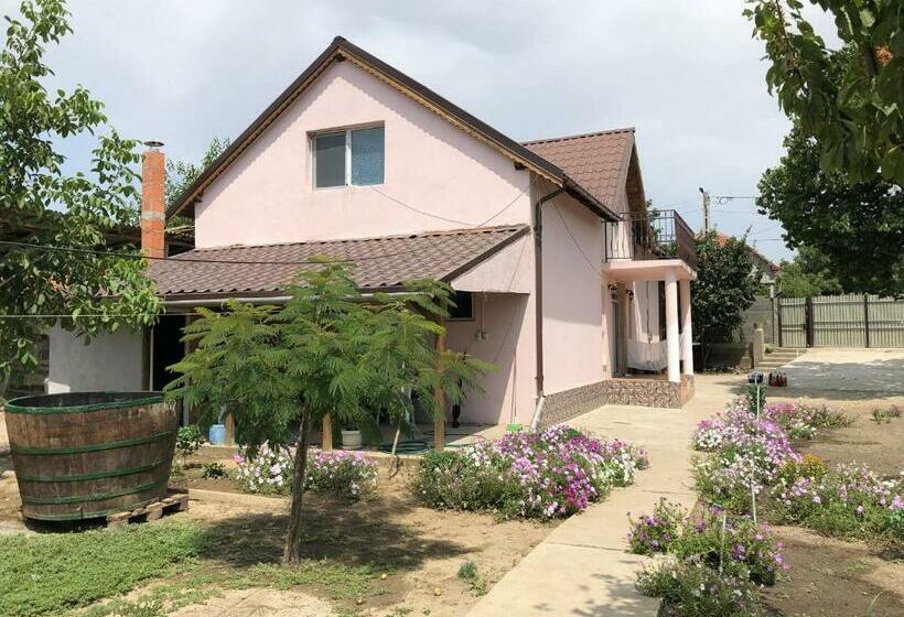 פנסיון Vila Siminica