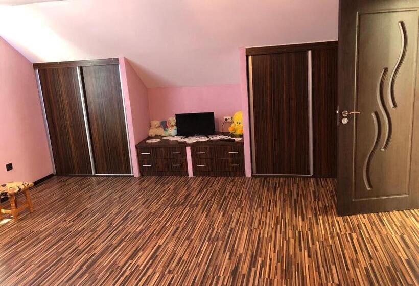 פנסיון Vila Siminica