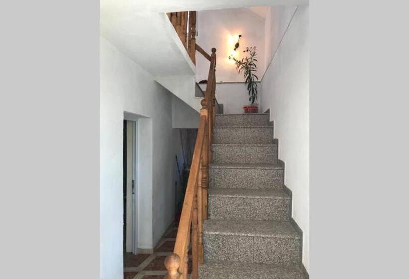 פנסיון Vila Siminica