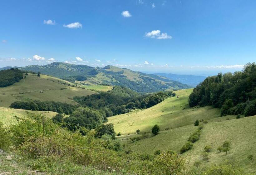 Pensiunea Buna Ziua