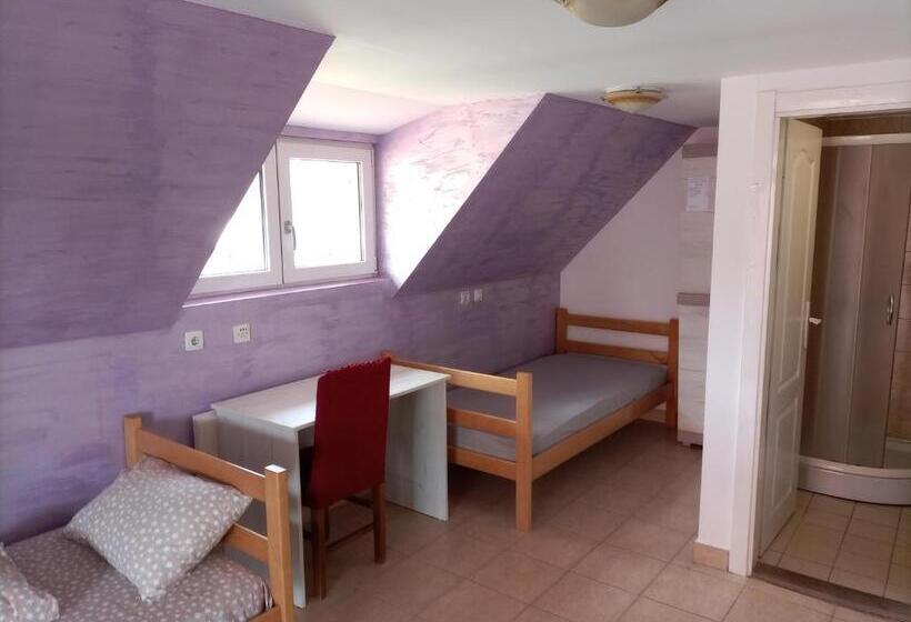 هاستل Banja Gornja Trepca Smestaj Grof