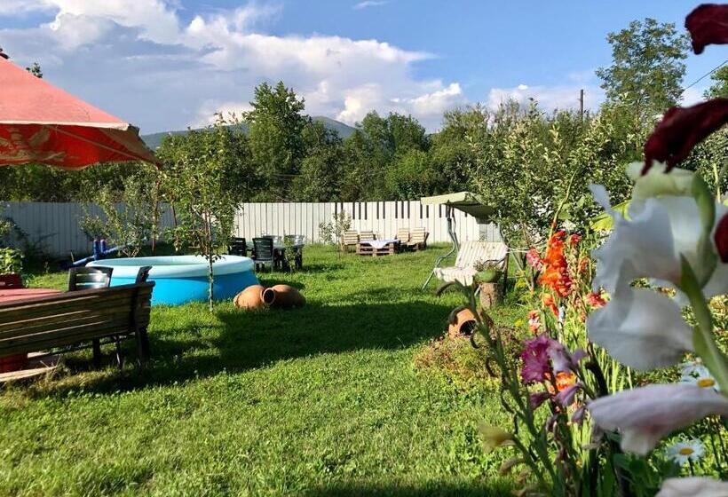 هاستل Green Tianeti