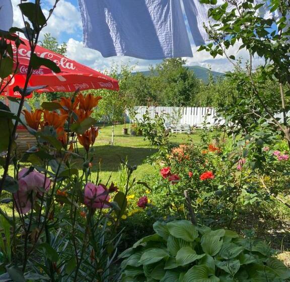 هاستل Green Tianeti