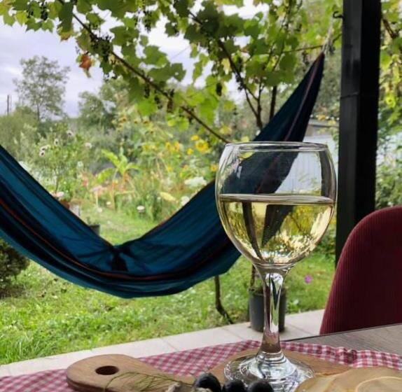 هاستل Green Tianeti