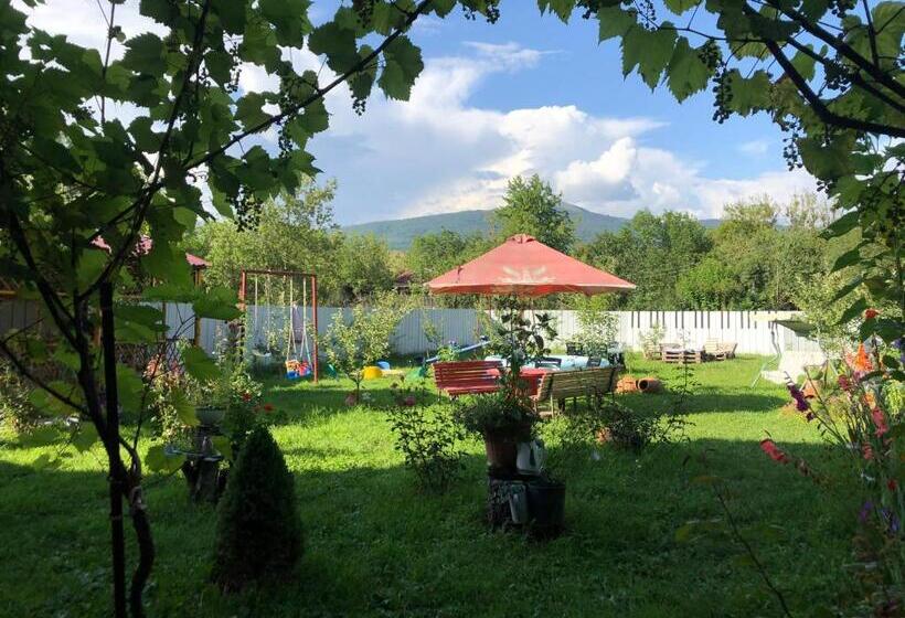 هاستل Green Tianeti