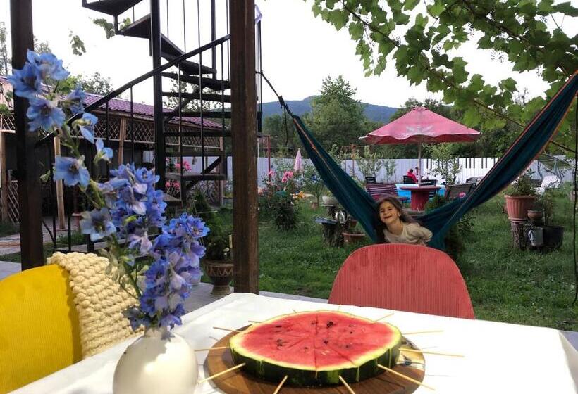 هاستل Green Tianeti