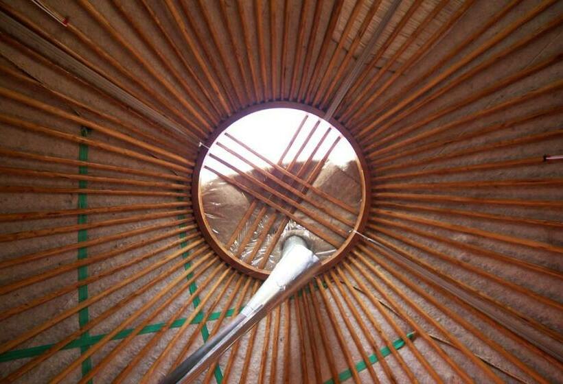 هاستل Jyrgalan Yurt Lodge