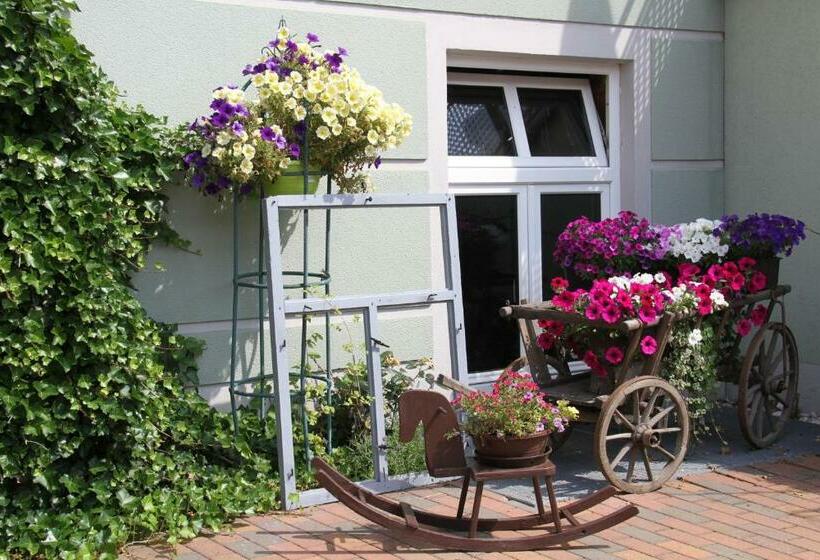 旅馆 Zilks Landgasthof Zum Frauenstein