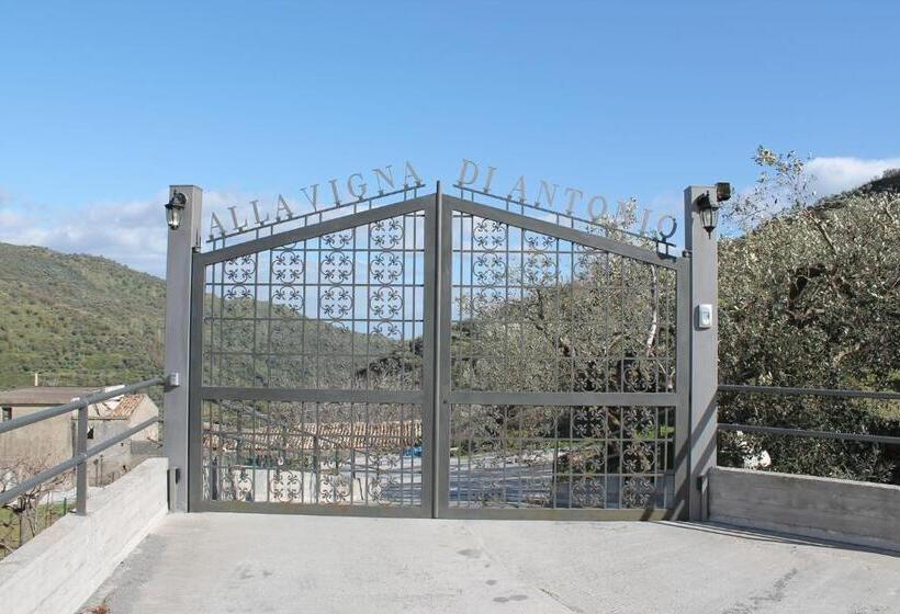 צימר Alla Casa Di Antonio