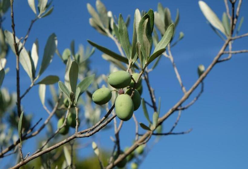 ベッドアンドブレックファースト L Eté Indien