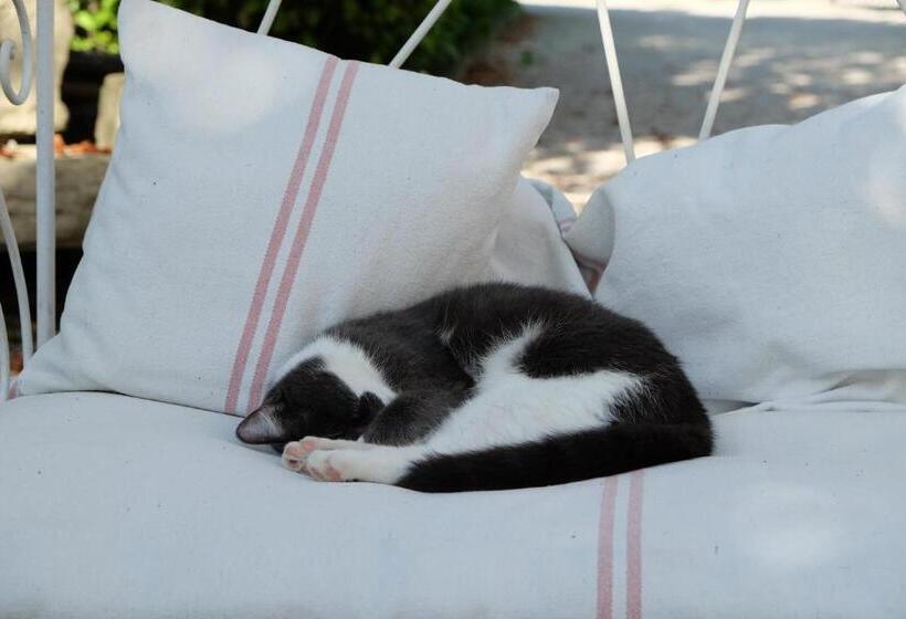 ベッドアンドブレックファースト L Eté Indien