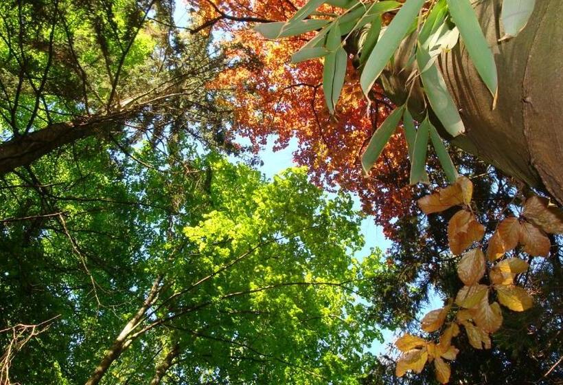 민박 Le Hameau De Robert