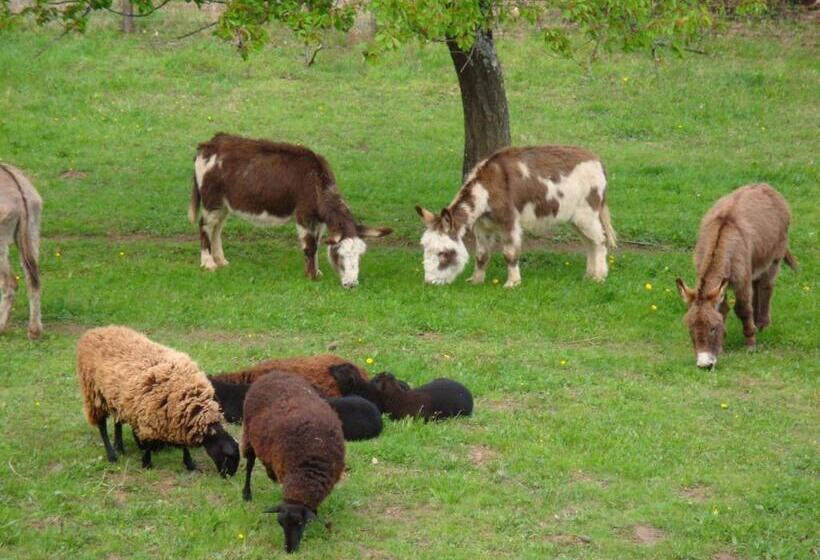 민박 Le Hameau De Robert