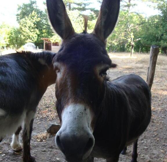 민박 Le Hameau De Robert