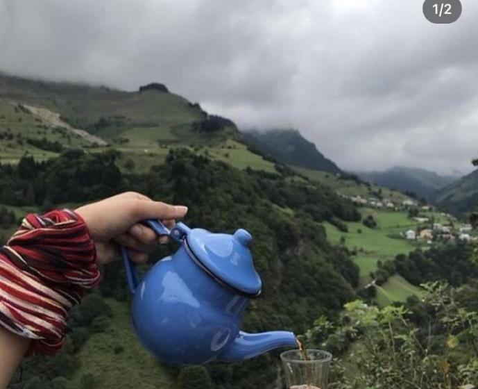 Hamsi̇köy Cennet Bahçesi̇ Otel & Restaurant