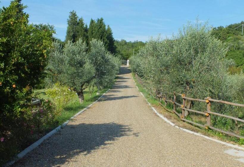 فندق Agriturismo Ai Mandrioli